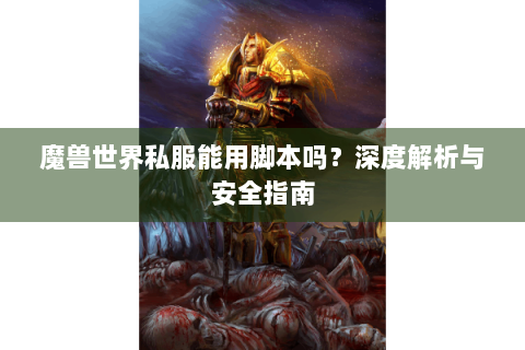 魔兽世界私服能用脚本吗？深度解析与安全指南