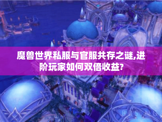 魔兽世界私服与官服共存之谜,进阶玩家如何双倍收益?