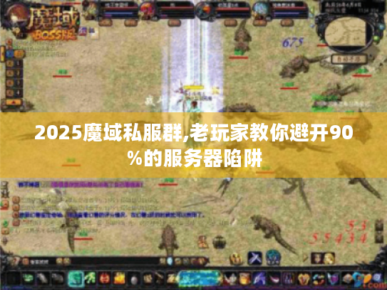 2025魔域私服群,老玩家教你避开90%的服务器陷阱