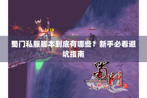 蜀门私服脚本到底有哪些？新手必看避坑指南