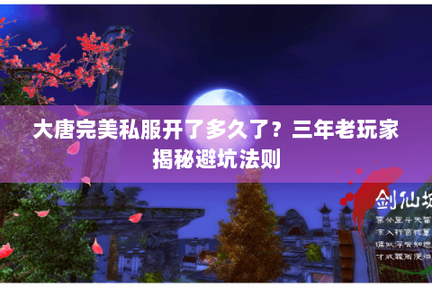 大唐完美私服开了多久了？三年老玩家揭秘避坑法则