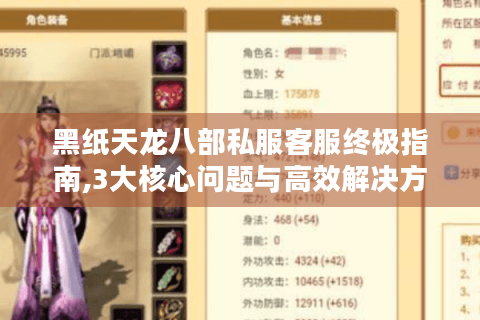 黑纸天龙八部私服客服终极指南,3大核心问题与高效解决方案
