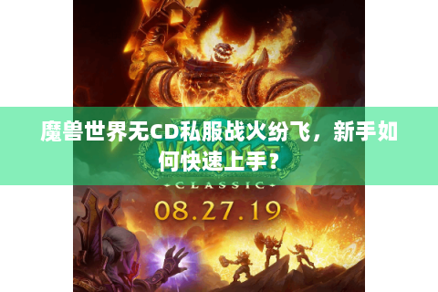 魔兽世界无CD私服战火纷飞，新手如何快速上手？