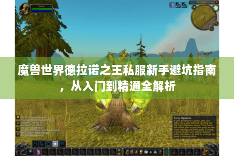 魔兽世界德拉诺之王私服新手避坑指南，从入门到精通全解析