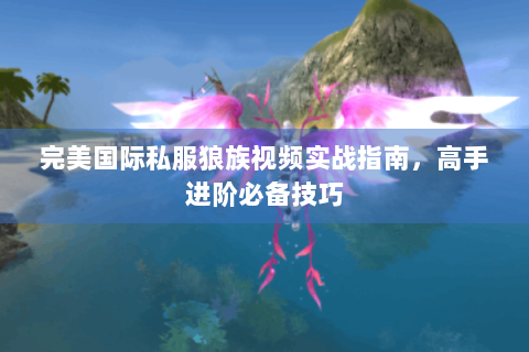 完美国际私服狼族视频实战指南，高手进阶必备技巧