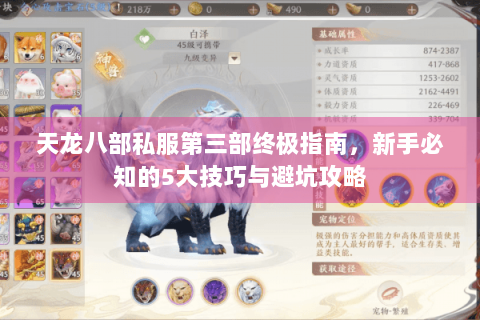 天龙八部私服第三部终极指南，新手必知的5大技巧与避坑攻略