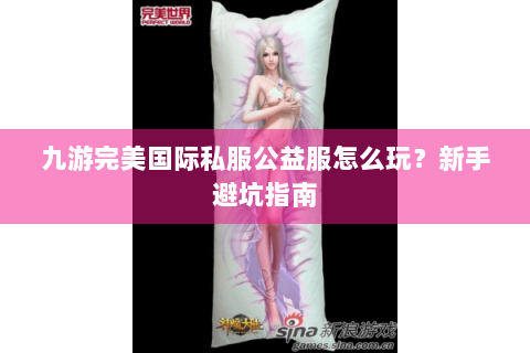 九游完美国际私服公益服怎么玩？新手避坑指南