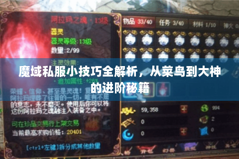 魔域私服小技巧全解析，从菜鸟到大神的进阶秘籍