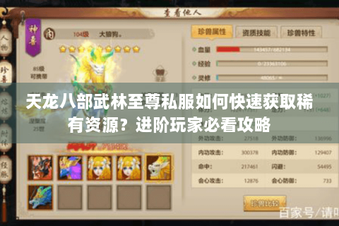 天龙八部武林至尊私服如何快速获取稀有资源？进阶玩家必看攻略