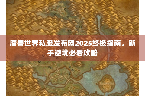 魔兽世界私服发布网2025终极指南，新手避坑必看攻略