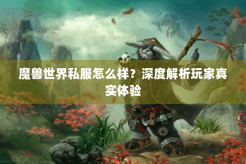 魔兽世界私服怎么样？深度解析玩家真实体验