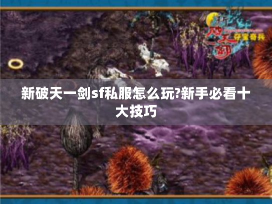 新破天一剑sf私服怎么玩?新手必看十大技巧