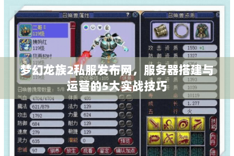 梦幻龙族2私服发布网，服务器搭建与运营的5大实战技巧