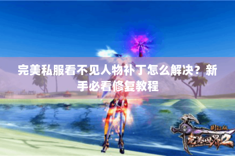 完美私服看不见人物补丁怎么解决？新手必看修复教程