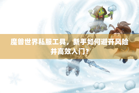 魔兽世界私服工具，新手如何避开风险并高效入门？