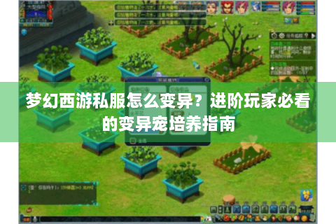 梦幻西游私服怎么变异？进阶玩家必看的变异宠培养指南