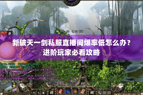 新破天一剑私服直播间爆率低怎么办？进阶玩家必看攻略