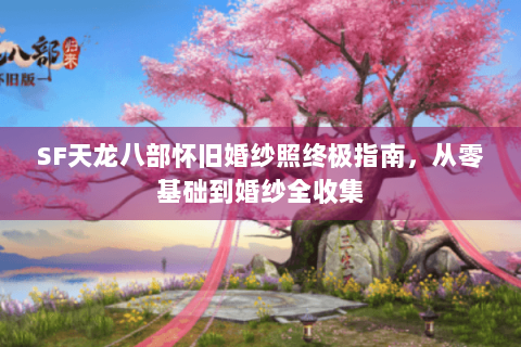 SF天龙八部怀旧婚纱照终极指南，从零基础到婚纱全收集