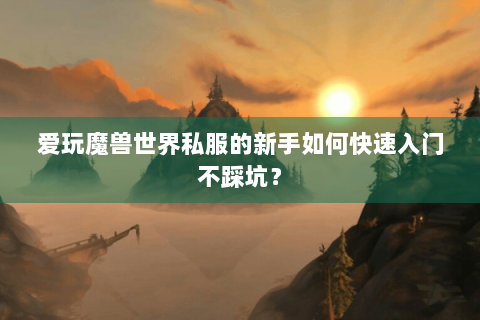 爱玩魔兽世界私服的新手如何快速入门不踩坑？