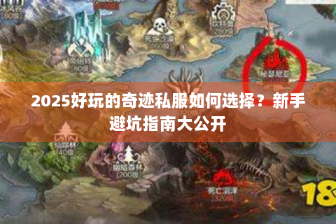 2025好玩的奇迹私服如何选择？新手避坑指南大公开