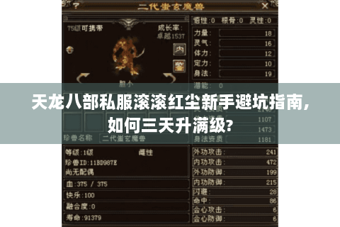 天龙八部私服滚滚红尘新手避坑指南,如何三天升满级?