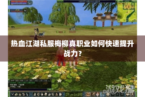 热血江湖私服梅柳真职业如何快速提升战力？