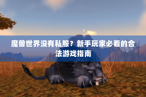 魔兽世界没有私服？新手玩家必看的合法游戏指南