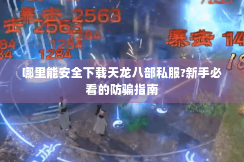 哪里能安全下载天龙八部私服?新手必看的防骗指南