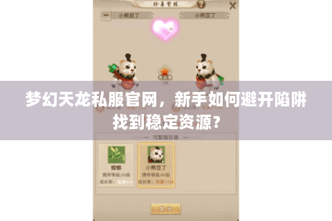 梦幻天龙私服官网，新手如何避开陷阱找到稳定资源？