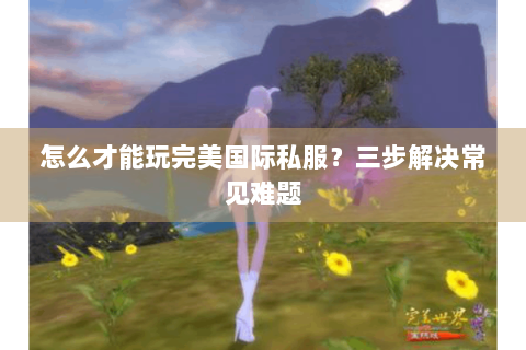 怎么才能玩完美国际私服？三步解决常见难题