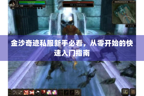 金沙奇迹私服新手必看，从零开始的快速入门指南