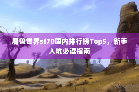 魔兽世界sf70国内排行榜Top5，新手入坑必读指南