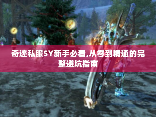 奇迹私服SY新手必看,从零到精通的完整避坑指南
