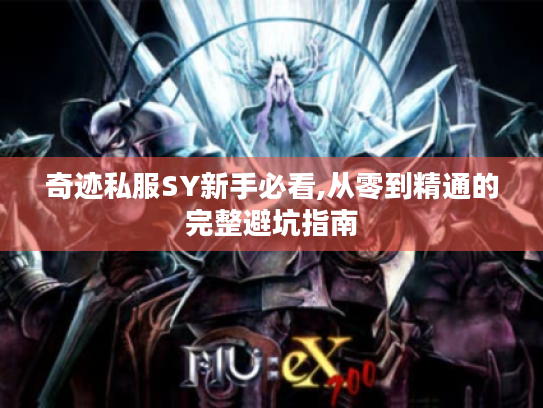 奇迹私服SY新手必看,从零到精通的完整避坑指南
