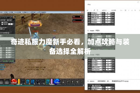 奇迹私服力魔新手必看，加点攻略与装备选择全解析
