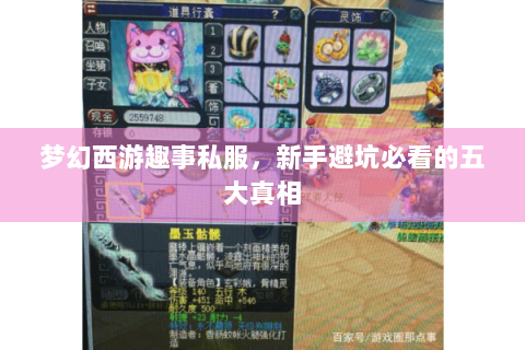梦幻西游趣事私服，新手避坑必看的五大真相
