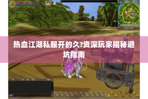 热血江湖私服开的久?资深玩家揭秘避坑指南