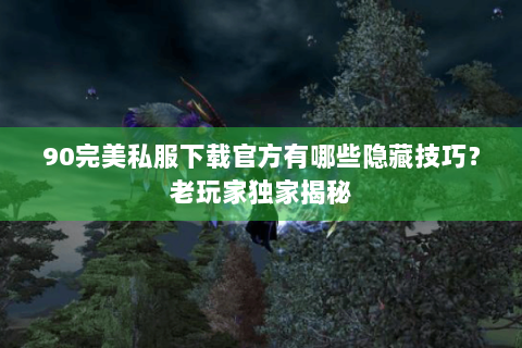 90完美私服下载官方有哪些隐藏技巧？老玩家独家揭秘
