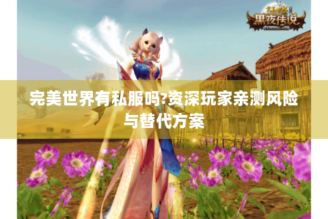 完美世界有私服吗?资深玩家亲测风险与替代方案