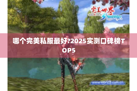 哪个完美私服最好?2025实测口碑榜TOP5