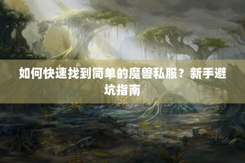 如何快速找到简单的魔兽私服？新手避坑指南