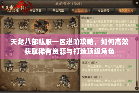 天龙八部私服一区进阶攻略，如何高效获取稀有资源与打造顶级角色