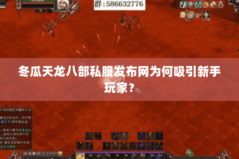 冬瓜天龙八部私服发布网为何吸引新手玩家？