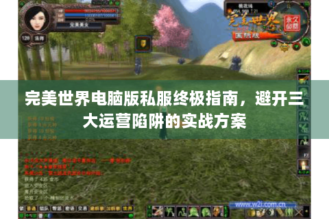 完美世界电脑版私服终极指南，避开三大运营陷阱的实战方案