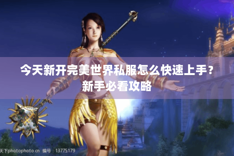 今天新开完美世界私服怎么快速上手？新手必看攻略