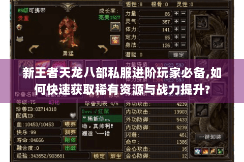 新王者天龙八部私服进阶玩家必备,如何快速获取稀有资源与战力提升?