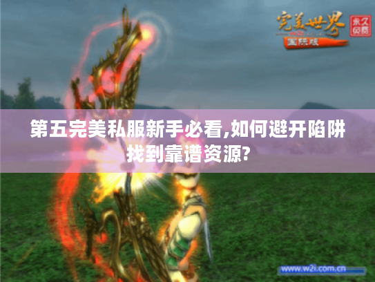 第五完美私服新手必看,如何避开陷阱找到靠谱资源?