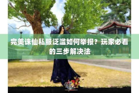完美诛仙私服泛滥如何举报？玩家必看的三步解决法