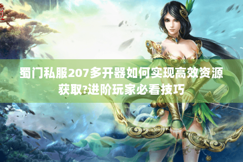 蜀门私服207多开器如何实现高效资源获取?进阶玩家必看技巧