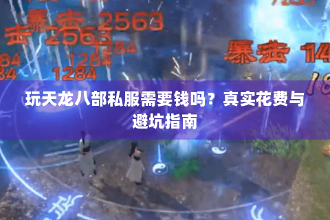 玩天龙八部私服需要钱吗？真实花费与避坑指南